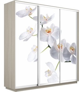 Шкаф 3-дверный Экспресс 2400х600х2200, Орхидея белая/шимо светлый в Коврове