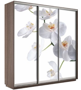 Шкаф 3-створчатый Экспресс 2400х600х2200, Орхидея белая/шимо темный в Коврове