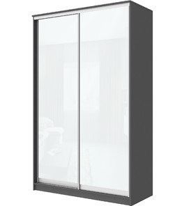 Шкаф 2-х дверный Хит-22-4-12/2-22 с цветным стеклом, белое №10, Графит в Коврове