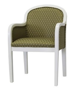 Стул-кресло Миледи-2 (стандартная покраска) в Коврове