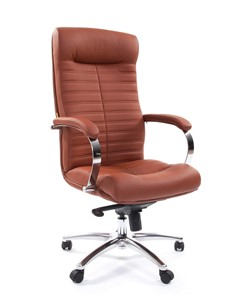 Кресло компьютерное CHAIRMAN 480 Экокожа Terra 111 (коричневая) в Коврове