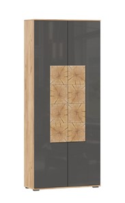 Шкаф двухстворчатый Фиджи с декоративными накладками 659.310, Дуб Золотой/Антрацит в Коврове