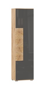 Шкаф одностворчатый Фиджи с декоративными накладками 659.300, Дуб Золотой/Антрацит в Коврове