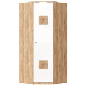 Шкаф угловой 45 с декоративной накладкой Фиджи, 659.248, белый во Владимире