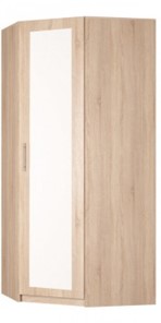 Распашной шкаф угловой Реал (YR-230х1034 (3)-М Вар.1), с зеркалом в Коврове - предосмотр