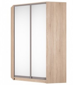 Угловой шкаф Аларти (YA-230х1400(602) (10) Вар. 5; двери D5+D5), с зеркалом во Владимире - предосмотр