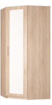 Распашной шкаф угловой Реал (YR-230х884 (9)-М Вар.1), с зеркалом во Владимире - изображение