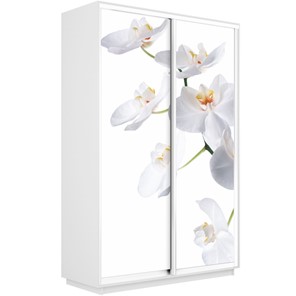 Шкаф Экспресс 1600x450x2400, Орхидея белая/белый снег в Коврове