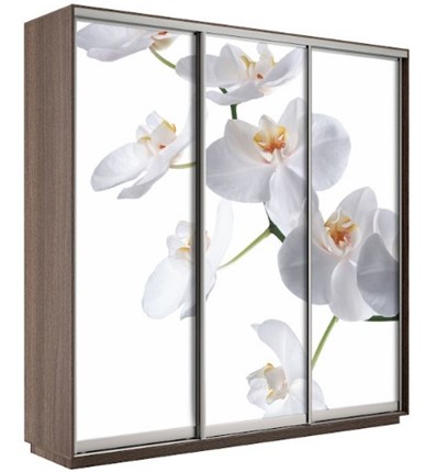 Шкаф Экспресс 1800х600х2200, Орхидея бела/шимо темный в Коврове - изображение