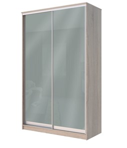 Шкаф 2-х дверный Хит-22-12/2-22 с цветным стеклом, средне-серый 074, Дуб сонома во Владимире