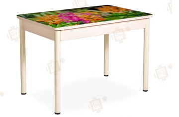 Кухонный раскладной стол Айсберг-02 СТФ, Дуб ЛДСП/полевые цветы/ноги крашеные во Владимире