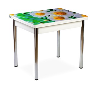 Кухонный пристенный стол СПА-01 СТФ, белый/фотопечать ромашки/опоры прямые хром в Коврове