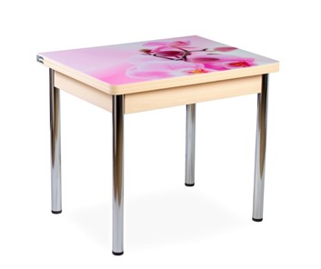 Кухонный пристенный стол СПА-01 СТФ, молочный дуб/фотопечать орхидея/опоры прямые хром в Коврове