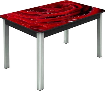 Кухонный стол раздвижной Гамбург исп. Мини, ноги метал. крашеные №23, Фотопечать (Цветы №39) в Коврове
