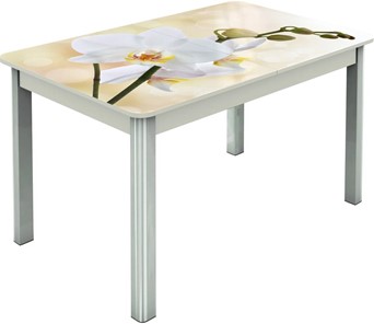 Кухонный раскладной стол Гамбург исп.2 ноги метал. крашеные №23, Фотопечать (Цветы №5) в Коврове