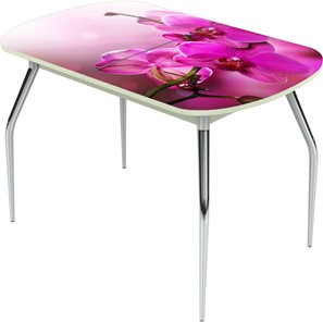 Обеденный раздвижной стол Ривьера исп.1 ноги метал. крашеные №24 Фотопечать (Цветы №16) в Коврове