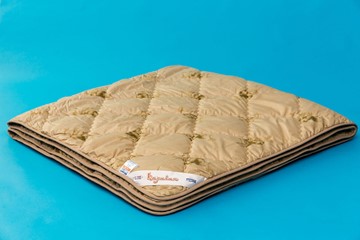 Одеяло всесезонное двуспальное Караван в Коврове - предосмотр