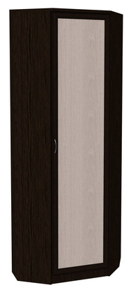 Шкаф распашной 402 угловой со штангой, цвет Венге во Владимире - изображение